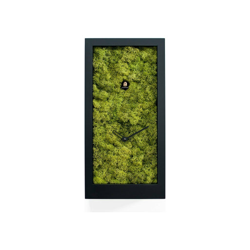 Progetti - Amazon Cuckoo Clock - Made in Italy - Time for a Clock